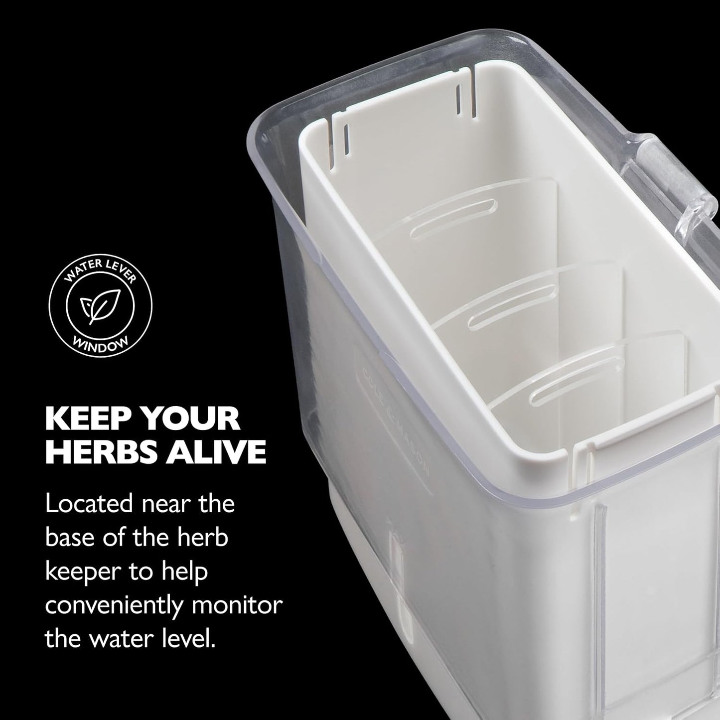 Fresh Herb Keeper, Container, Clear