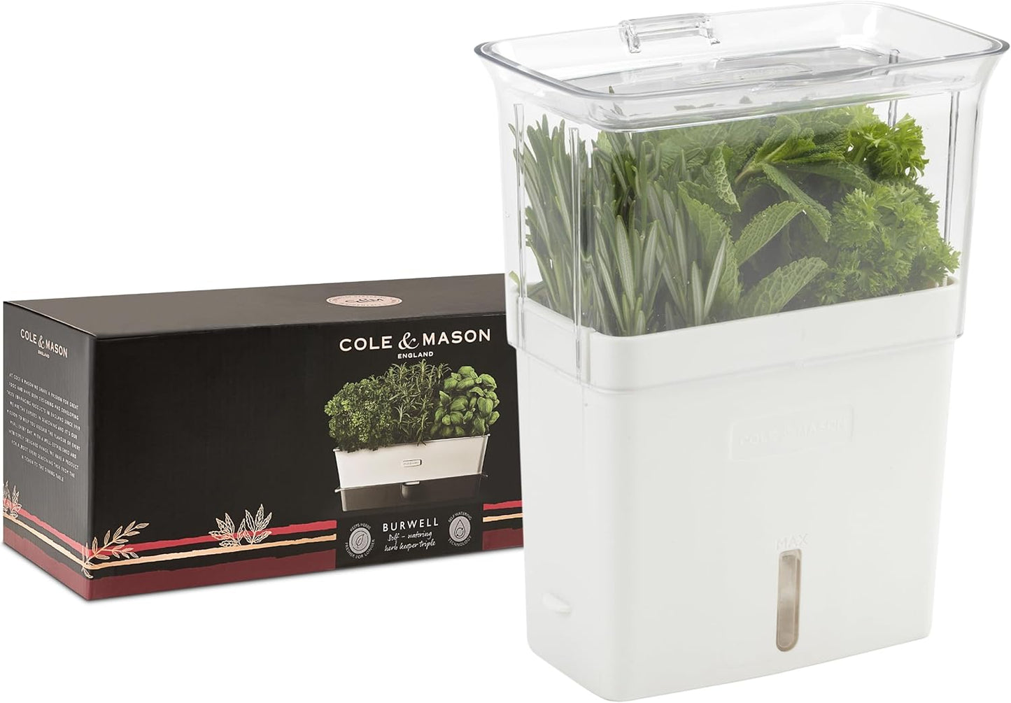 Fresh Herb Keeper, Container, Clear